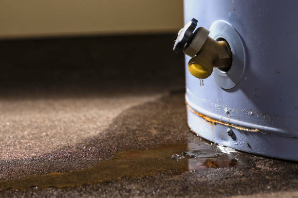 Best Commercial water damage restoration  in Rocky River, OH