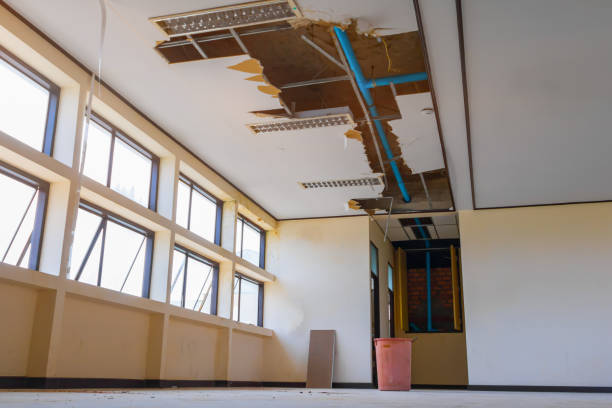 Best Carpet water damage restoration  in Rocky River, OH