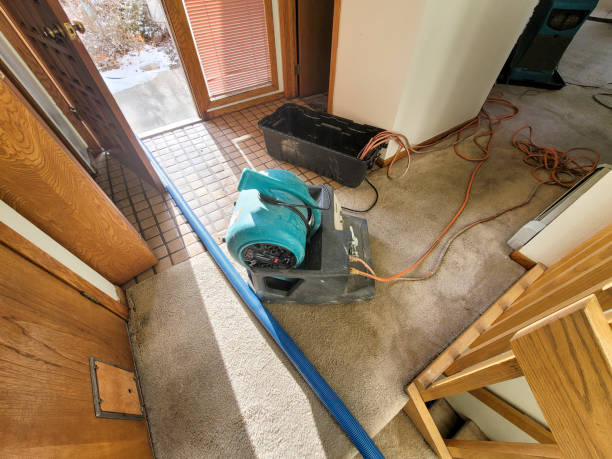 Best Sewage cleanup and water damage restoration  in Rocky River, OH