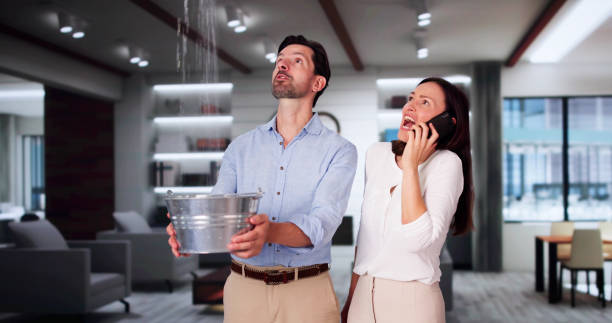 Best Flood damage cleanup  in Rocky River, OH